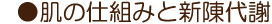 肌の仕組みと新陳代謝