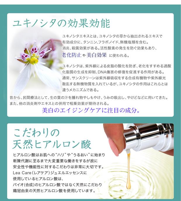 ユキノ下の効果効能、老化防止や美白効果、美白のエイジングケア